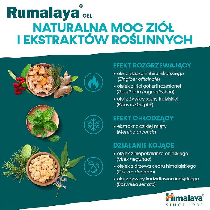 Himalaya Rumalaya żel do masażu, 50 g