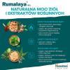Himalaya Rumalaya żel do masażu, 50 g