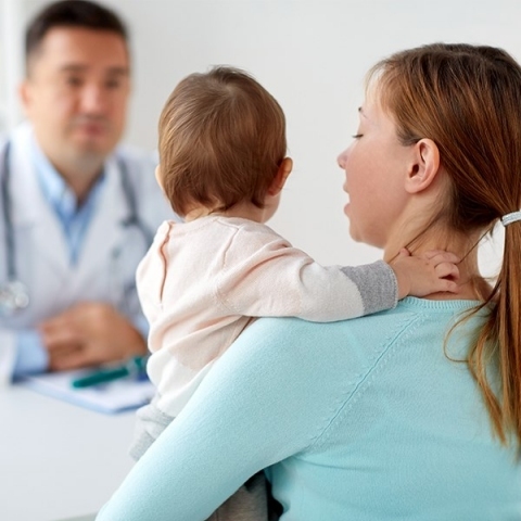 Bostonka – objawy, leczenie, szczepienia