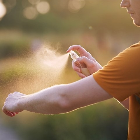 Co na komary – jak wybrać spray przeciw insektom?
