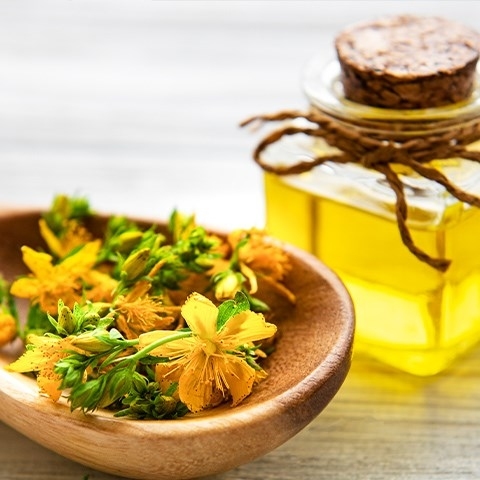 Dziurawiec – właściwości i zastosowanie w medycynie