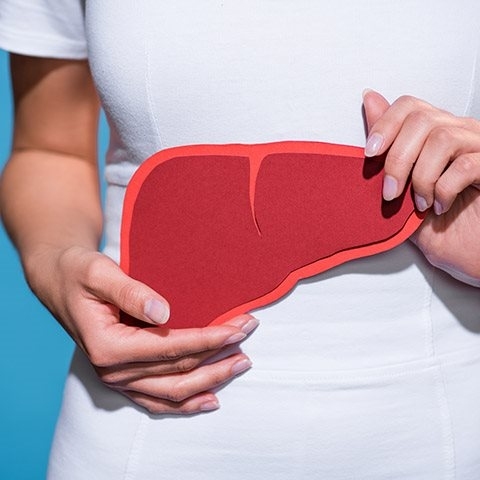 Fosfolipidy na regenerację wątroby - właściwości i działanie