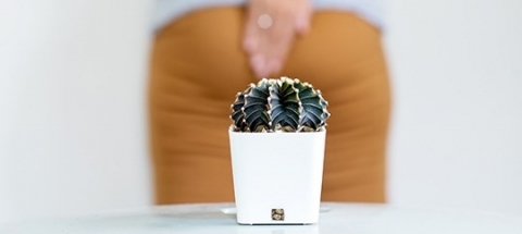 Hemoroidy – przyczyny, objawy, leczenie, jak zapobiegać?