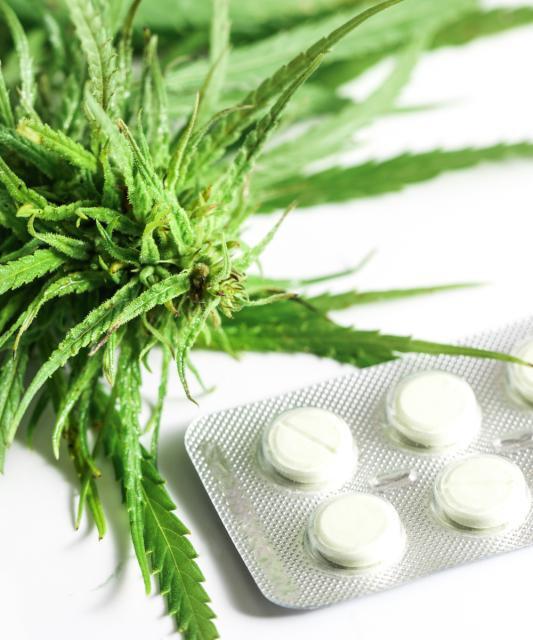 Konopie medyczne na świecie i w Polsce: prawo, przyszłość i praktyka (Q&A)