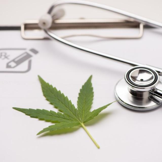 Medyczna marihuana - lek na wiele schorzeń