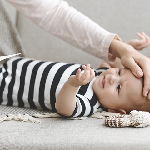 Meningokoki - wszystko co musisz o nich wiedzieć