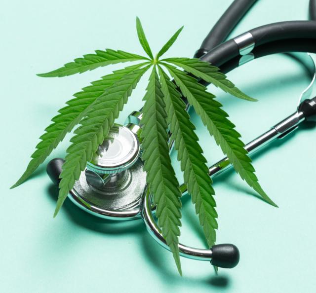 Nowoczesna medycyna konopna: wskazania, dowody naukowe i doświadczenia międzynarodowe