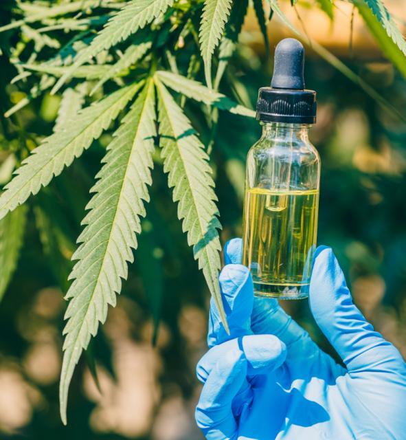 Olejek CBD na stres: naturalne wsparcie w walce ze stresem - kompletny przewodnik