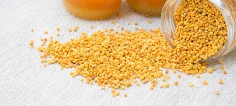 Propolis - zastosowanie i właściwości kitu pszczelego