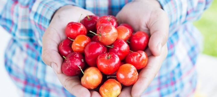 acerola