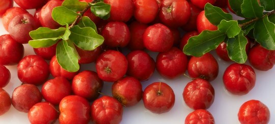 acerola