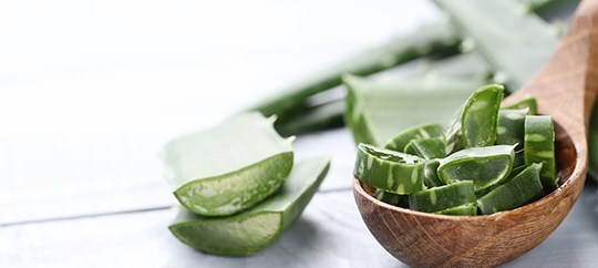 aloes-wlasciwosci