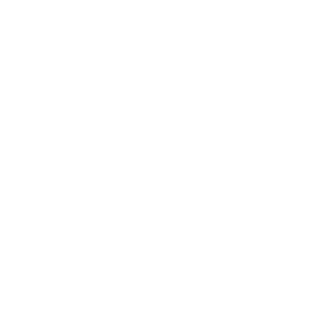 Ikona Q