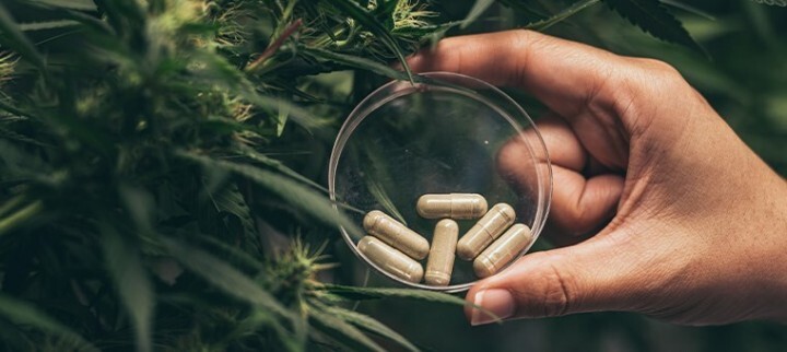 olej-cbd-wlasciwosci