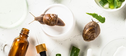 snailmed