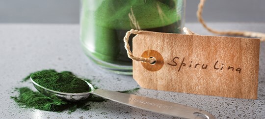 spirulina-co-to
