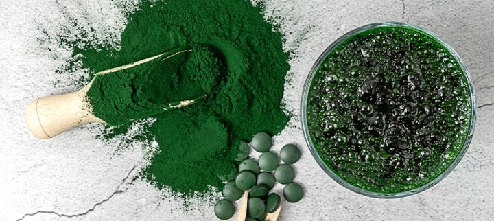 spirulina-wlasciwosci