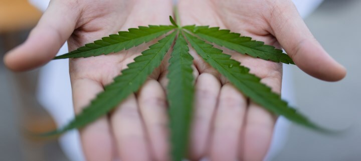 thc