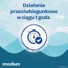 Imodium Instant 12 tabl.
