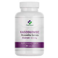 Kadzidłowiec ekstrakt 500 mg kapsułki, 60 szt.