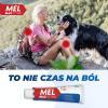 Mel Max Actigel 20 mg/g żel przeciwbólowy i przeciwobrzękowy, 100 g