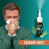 Nasivin Sinex Aloes i Eukaliptus aerozol do nosa, 15 ml