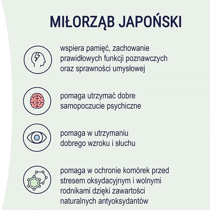 Naturell Ginkgo Intensive tabletki, 60 szt.