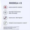 Naturell Rhodiola + B 60 tabletek