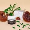 ORIENTANA Reishi Naturalny Wegański Krem na dzień 50 ml
