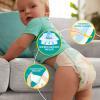 Pampers Active Baby Mini 2 (4-8kg) 72szt.