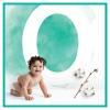 Pampers CP Pure Harmonie Midi 3 31 sztuk