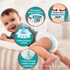 Pampers Pants 7 pieluchomajtki rozmiar XXL (17kg+), 74 szt.