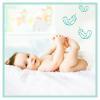 Pampers Premium Care Midi 3 (6-10kg) 80 szt.