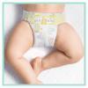 Pampers Premium Care Newborn 1 (2-5kg) 78 szt.