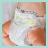 Pampers Premium Care Newborn 30 sztuk ponieżej 3kg