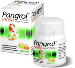 Pangrol 10 000 20 kapsułek / Trzustka