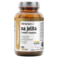 PharmoVit Na Jelita kapsułki, 60 szt.