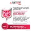Rebutestin Max 500 mg kapsułki, 60 szt.