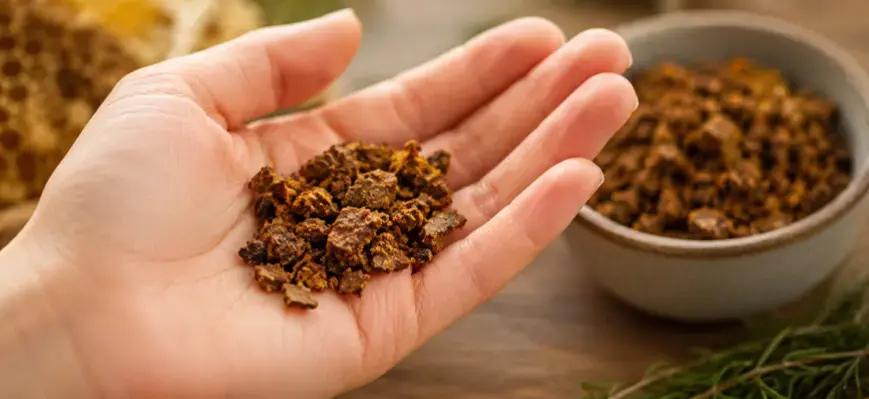 Zielony propolis z Brazylii - dlaczego to przełom w naturalnym wspieraniu odporności?