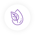 ikona