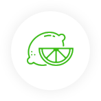 ikona