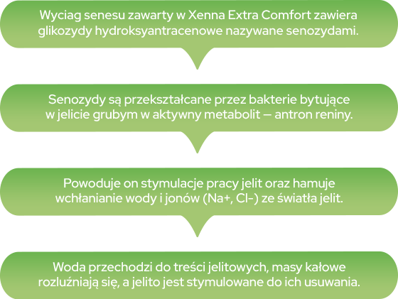 XENNA comfort - schemat działania