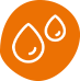 ikona
