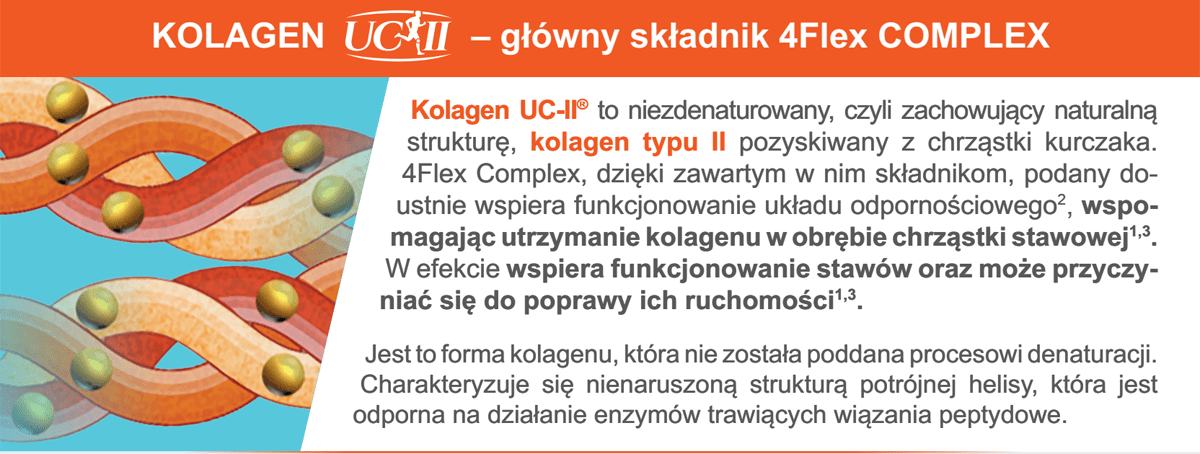 Kolagen - główny składnik 4Flex COMPLEX