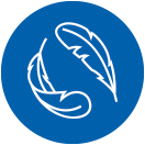 Ulga