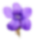 Kwiat