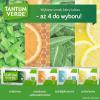 Tantum Verde smak miętowy 3 mg 20 pastylek do ssania