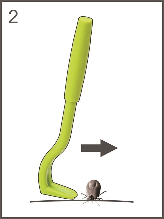 Tick Twister® Kleszczołapki® Haczyki do usuwania kleszczy