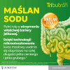 Tributron synbiotyk kapsułki, 30 szt.
