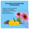 Vit Vibes Immunity Power żelki o smaku cytryna-marakuja, 60 szt.